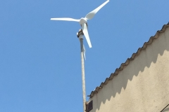 photo (Medium)
